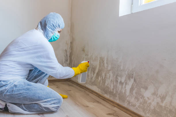 Licensed Crawl Space Mold Removal service in Front Royal, VA - WQB Mold Removal
