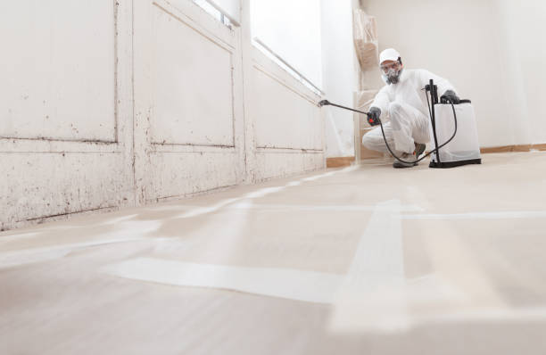 24/7 Emergency Crawl Space Mold Removal experts in Front Royal, VA