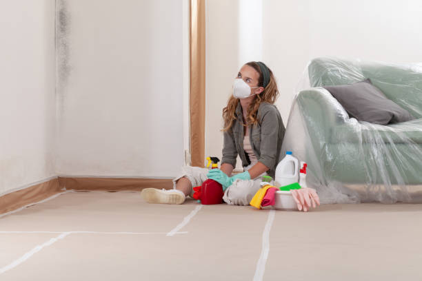 Reliable Crawl Space Mold Removal contractor in Front Royal, VA by WQB Mold Removal