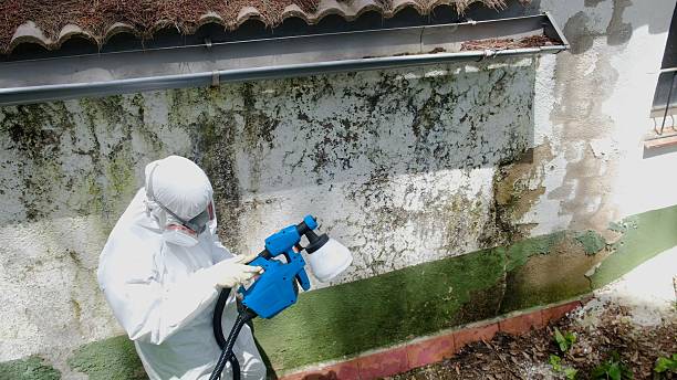 Top rated local Crawl Space Mold Removal specialists in Front Royal, VA